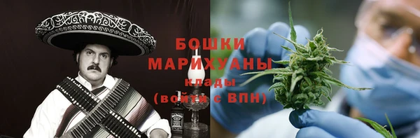 шишки Бронницы